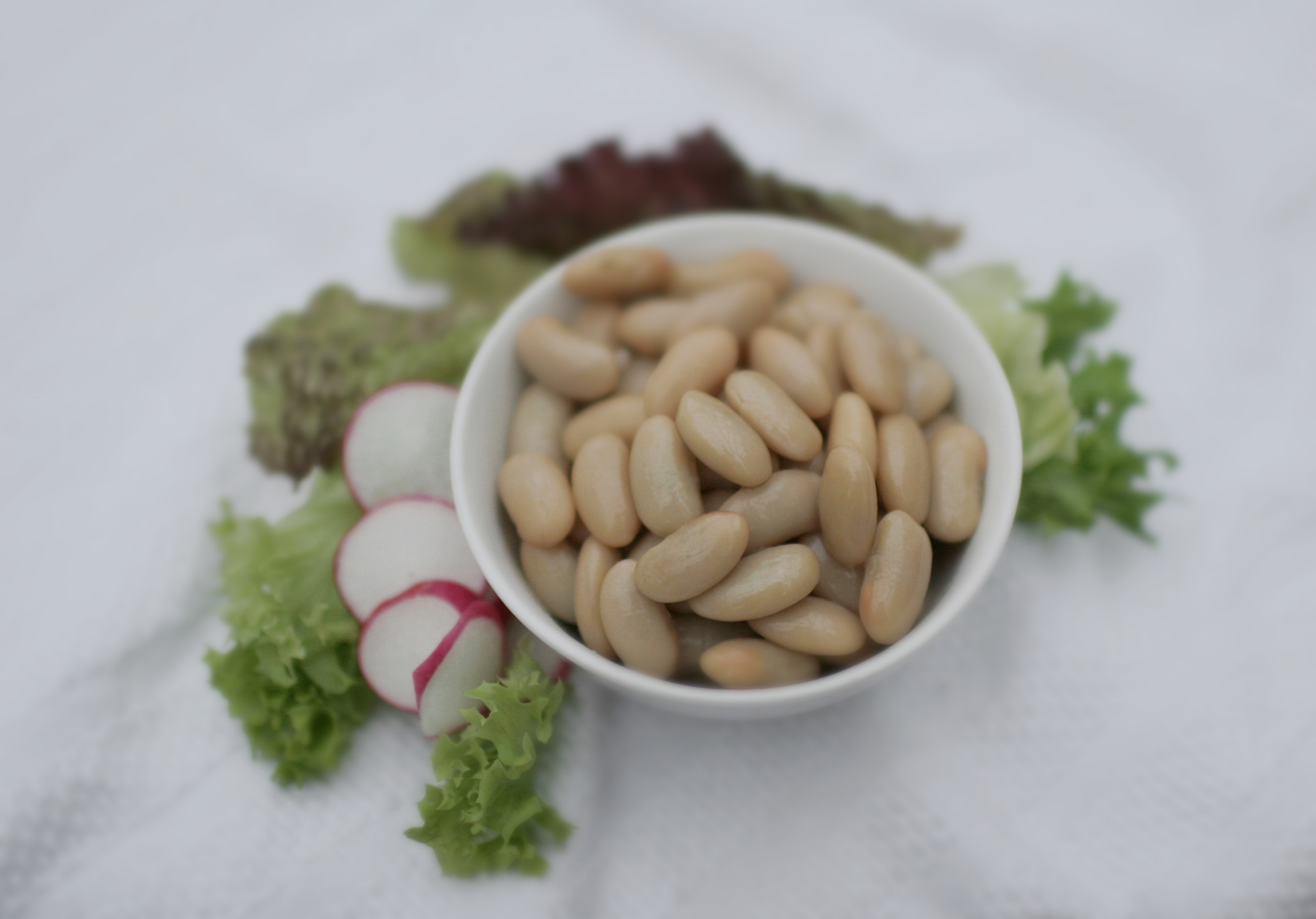 Judías Blancas Cocidas (cannellini beans) en conserva